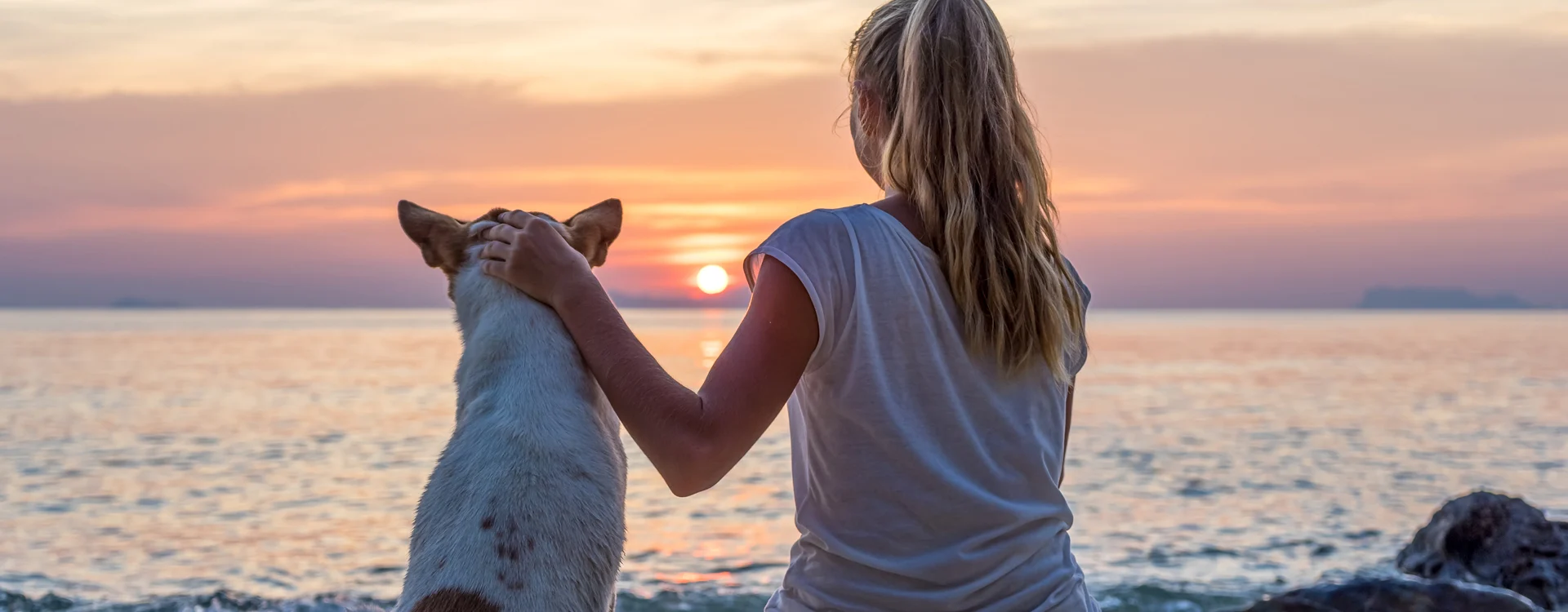 pet friendly vacation