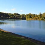 Scholarie Creek - Victor Jung