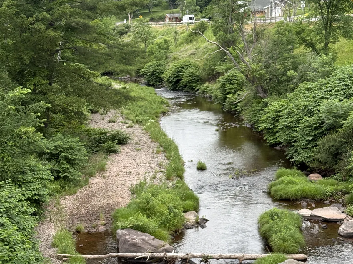 The Batavia Kill running shallow over rocks between green banks in Windham, NY, in early summer