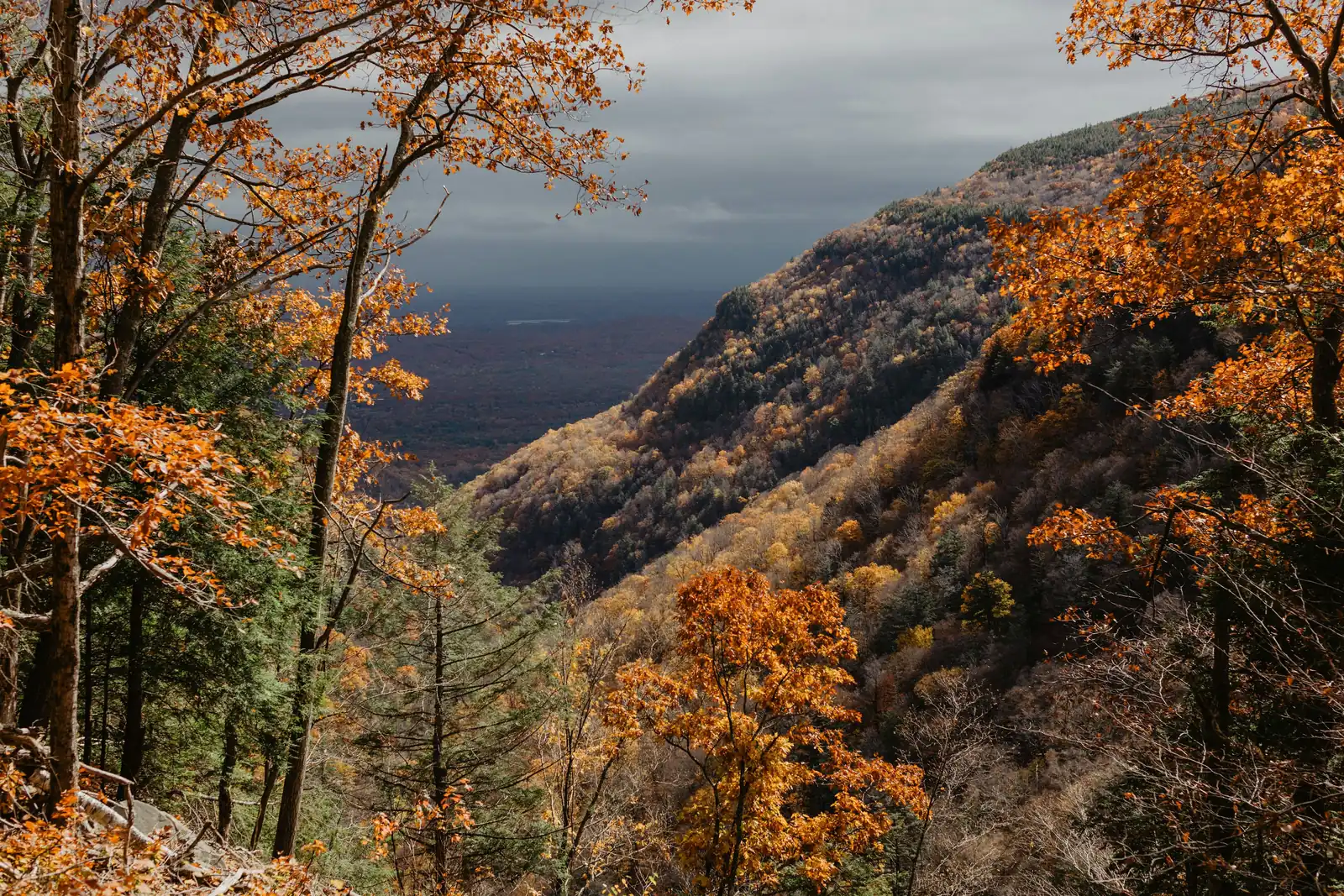 Orange and yellow fall leaves framing a steep forested mountainside in the Catskills near Shandaken, NY