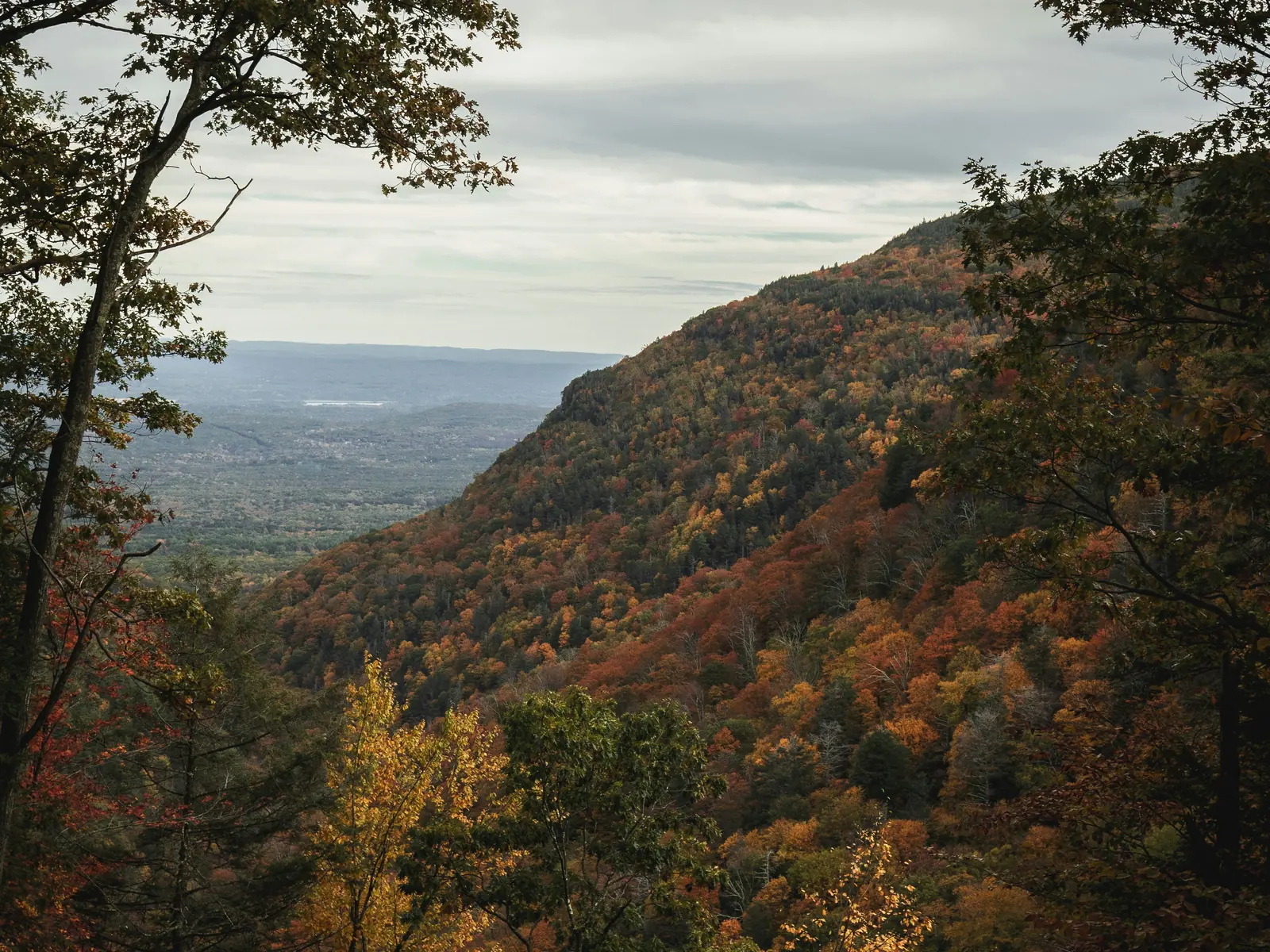 Fall color on a steep Catskills mountainside framed by trees, with a view out to a wide valley beyond
