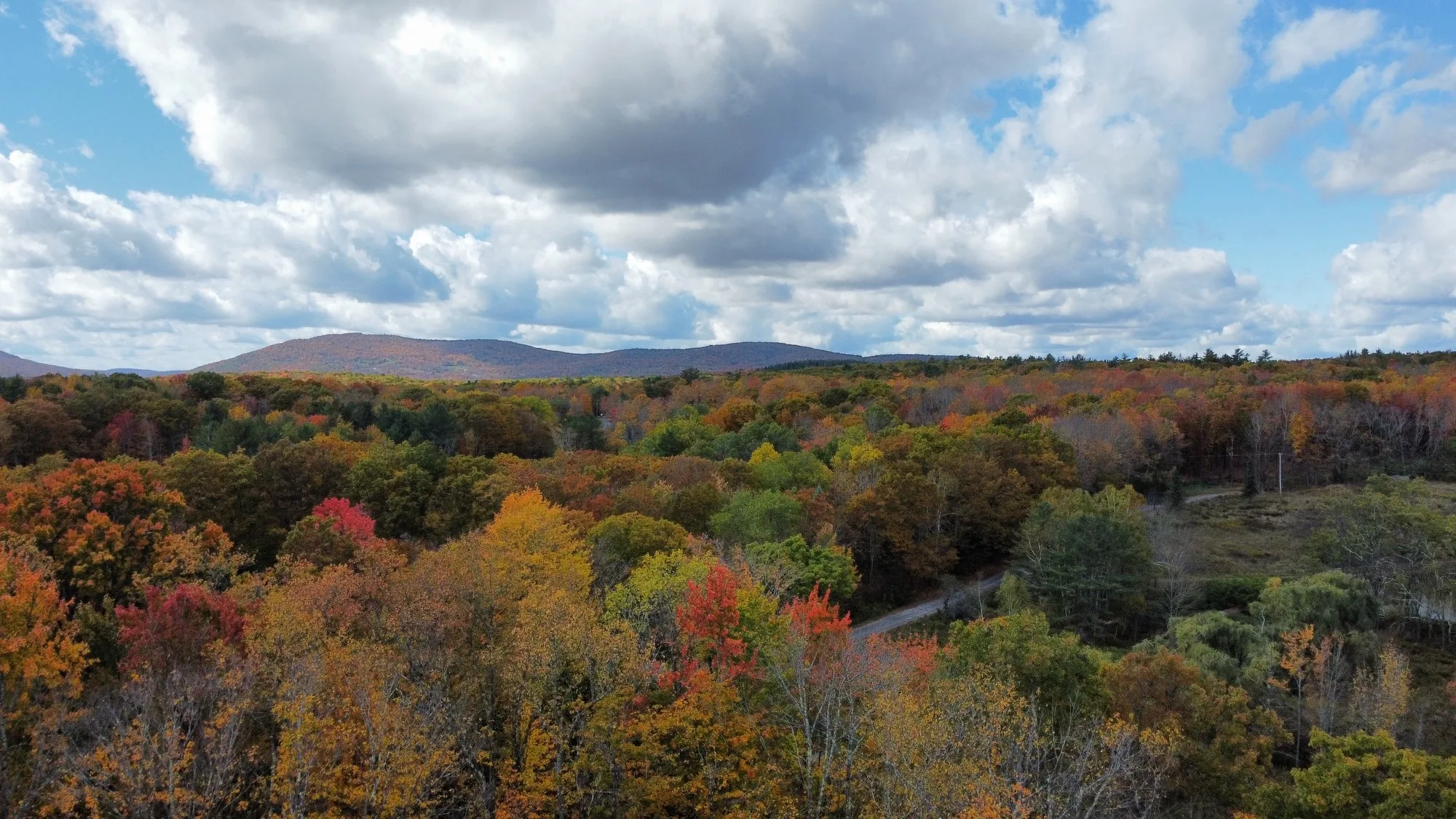 Aerial view of peak fall foliage in red, orange and gold rolling toward the Catskill Mountains near Stamford, NY