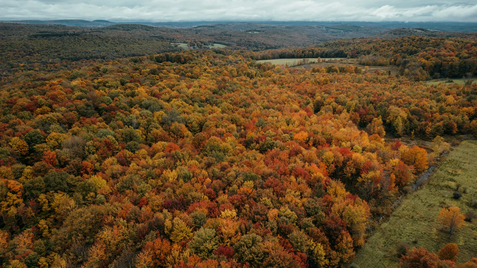 Rolling ridges covered in orange, red and green fall forest in the Catskill Mountains
