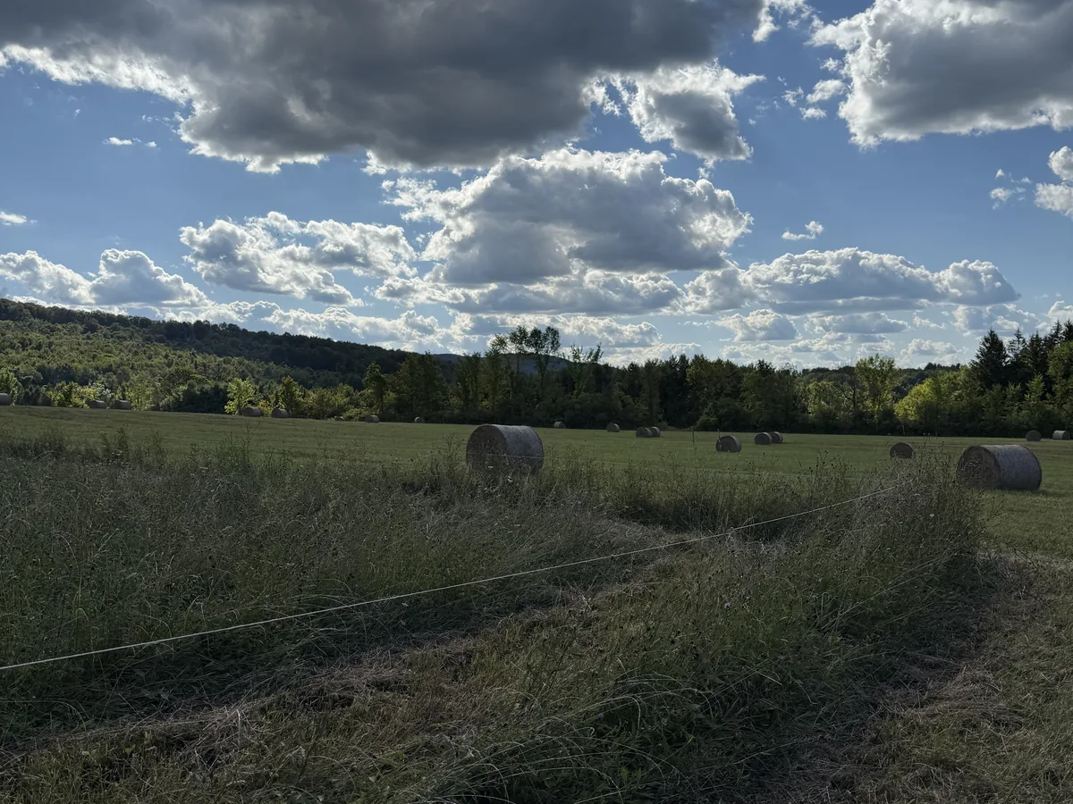Round hay bales in a mown field under big clouds in Schoharie County, NY, in early September