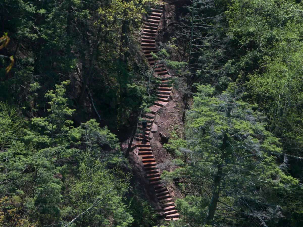 Stone and timber stairs climbing through the forest on the trail to Kaaterskill Falls