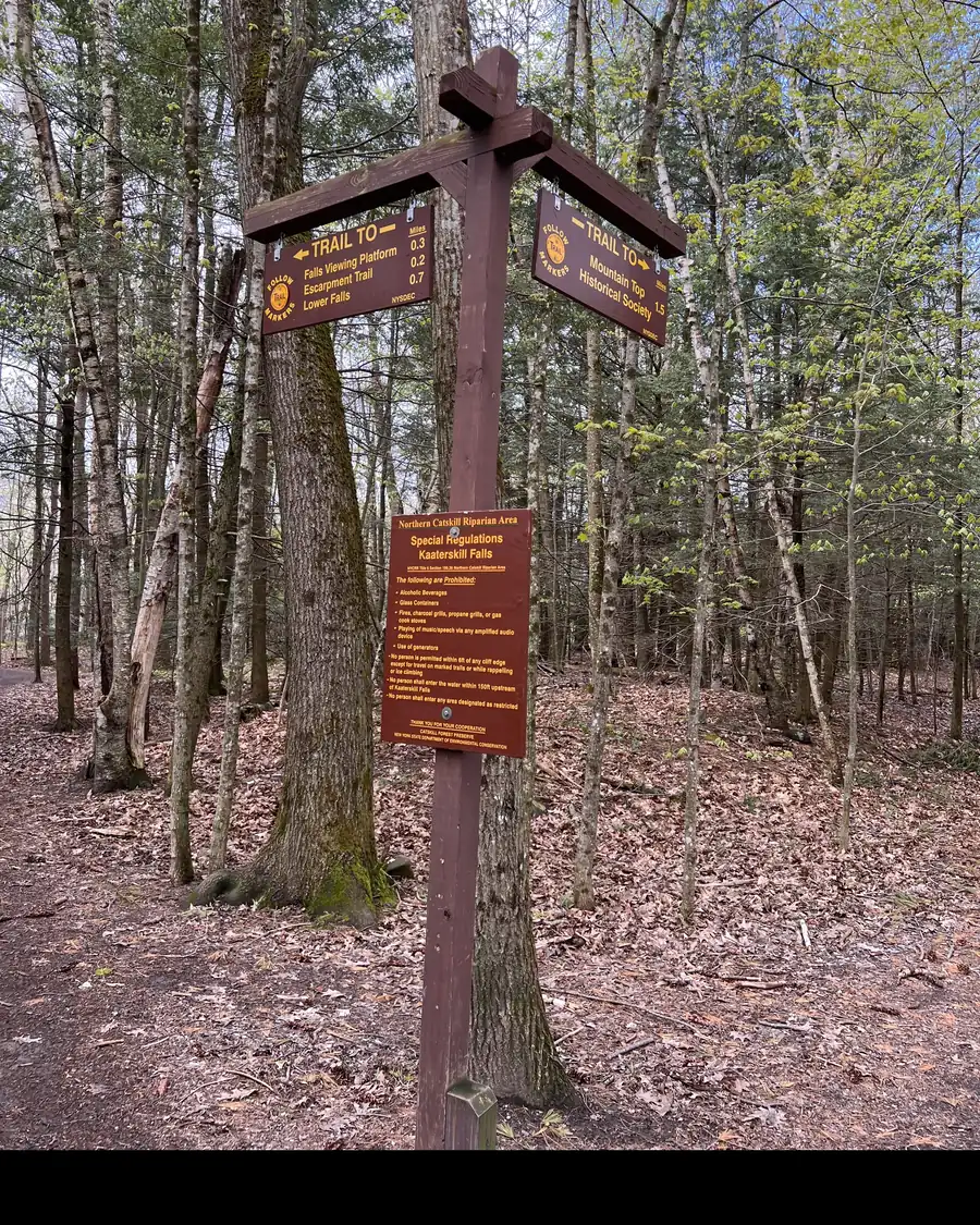NYSDEC trail signs near Kaaterskill Falls pointing to the falls viewing platform, the Escarpment Trail and the lower falls
