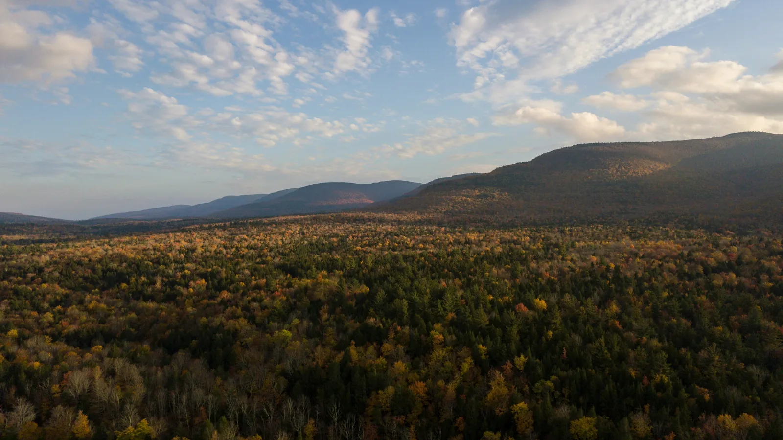 Aerial view over a fall forest toward layered Catskill ridges under a late-day sky